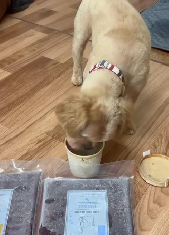 モナカちゃんの食事風景